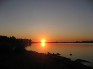 315_1046288437633_2277_n