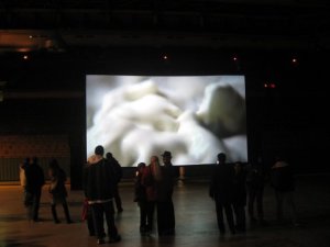 345_1057013265747_4736_n