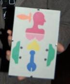 トロントのハッテン車窓から・・・