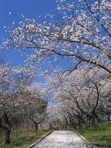 トロントのハッテン車窓から・・・