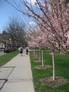 トロントのハッテン車窓から・・・